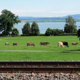 1107G 069 Bodensee Radweg